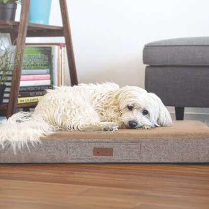 prospekt januar bubblenavi s1 hund und katze